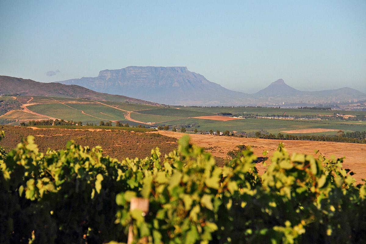 Muratie Wine Estate Stellenbosch Extérieur photo